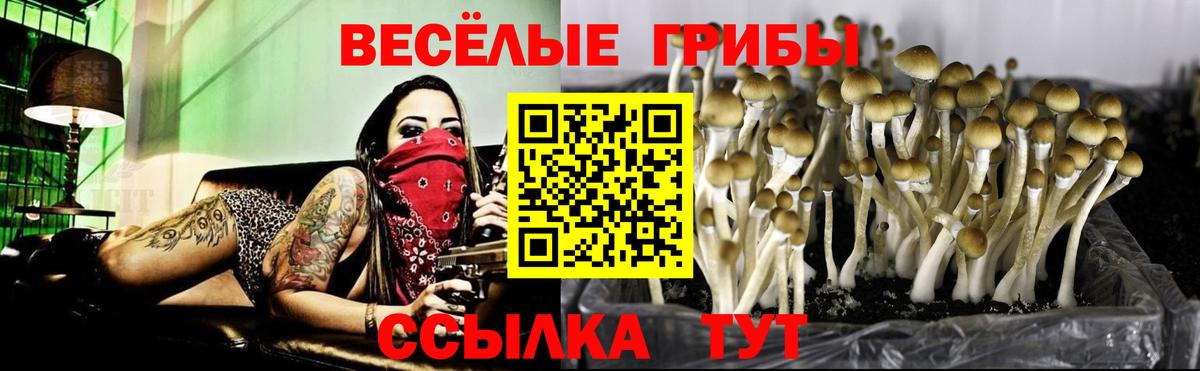 Тавда  Псилоцибиновые грибы Psilocybine cubensis  Псилоцибиновые грибы Magic Shrooms  магазин продажи наркотиков  Вход с VPN 
