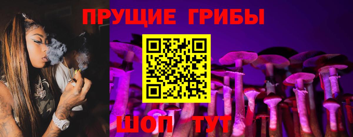 Псилоцибиновые грибы MAGIC MUSHROOMS Тавда